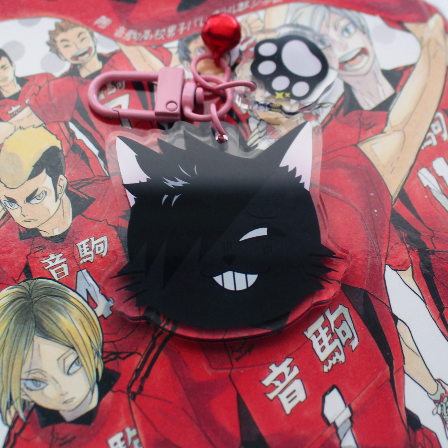 volleyball cats acrylic keychains